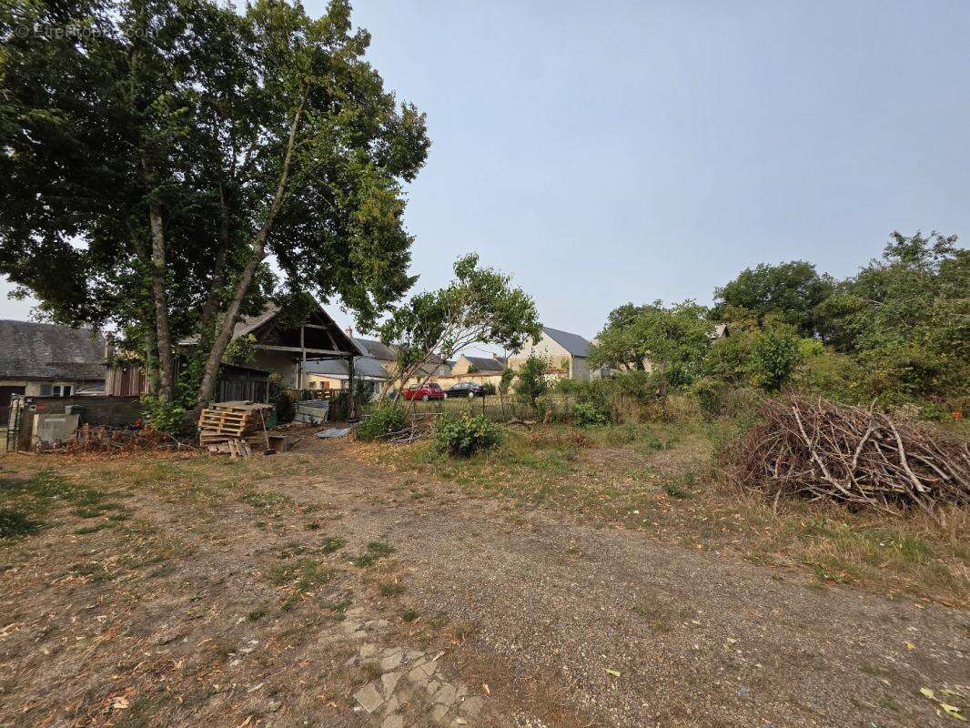 Terrain à LES BORDES