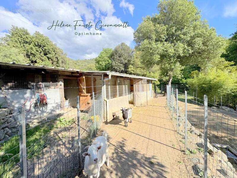 Maison à OMESSA