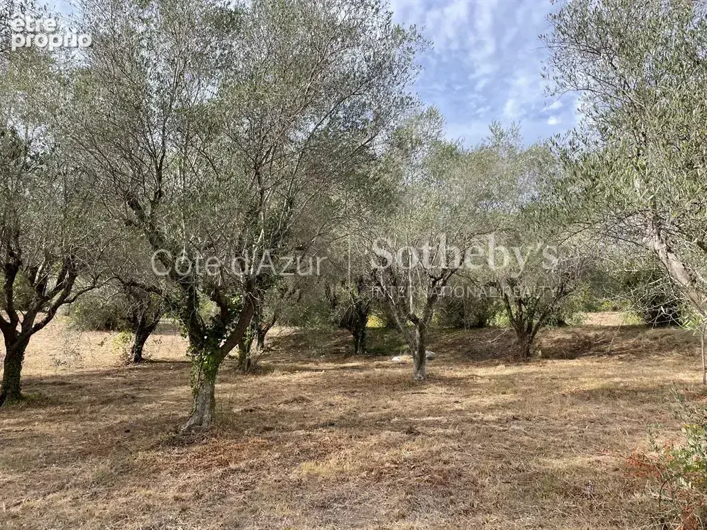 Projet de 3 villas contemporaines sur 35 233 m² - photo 4