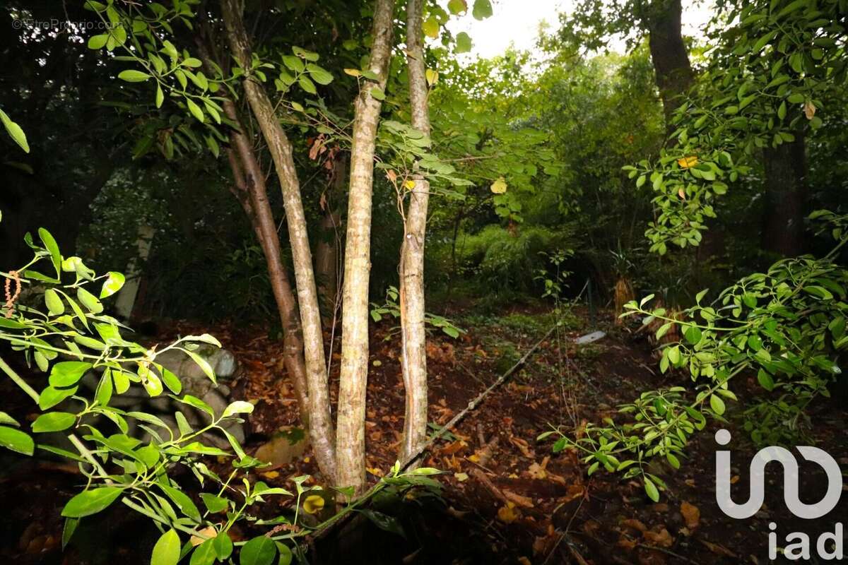 Photo 4 - Maison à SAULX-LES-CHARTREUX