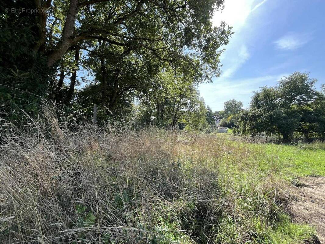 Photo 1 - Terrain à CARQUEFOU