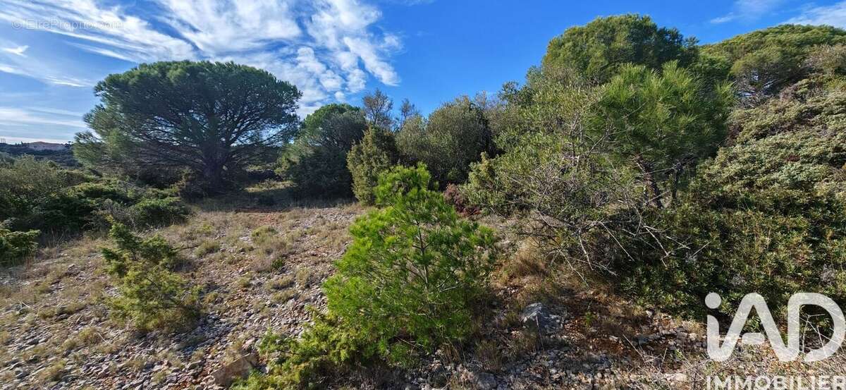 Photo 7 - Terrain à LA PALME