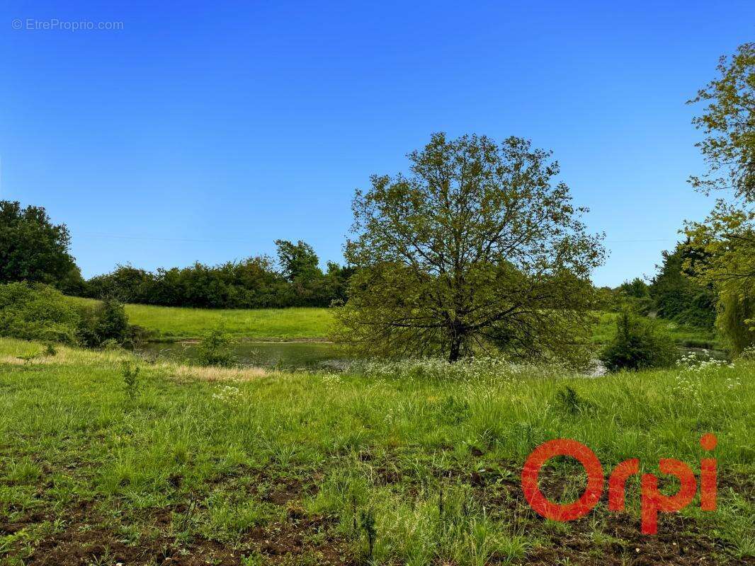 Maison et maison d’amis sur plus de 12 hectares avec étang et cours d’eau – cadre naturel exceptionnel et calme absolu - photo 17