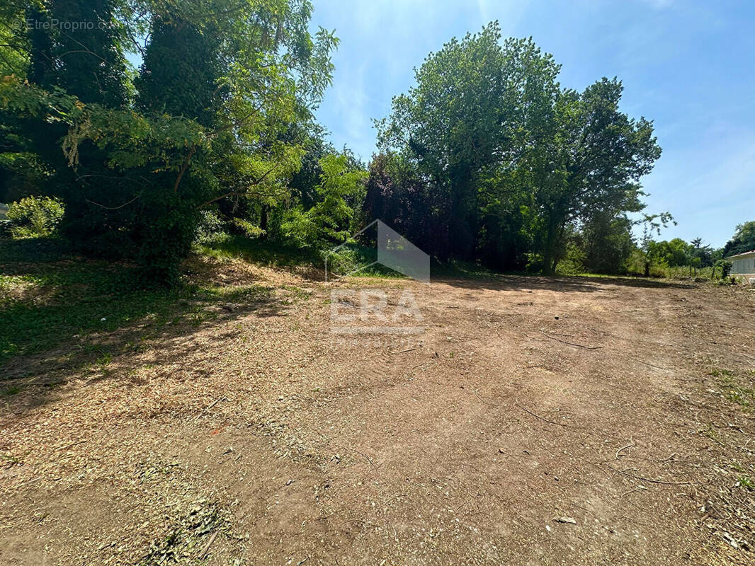 Terrain à FRONTON