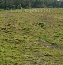 Terrain à PARENTIS-EN-BORN