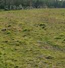 Terrain à PARENTIS-EN-BORN