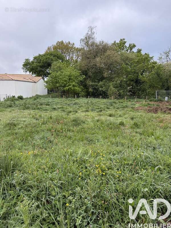 Photo 2 - Terrain à PAULX