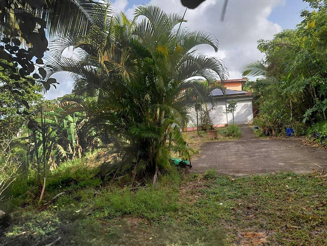 Maison à MORNE-A-L'EAU
