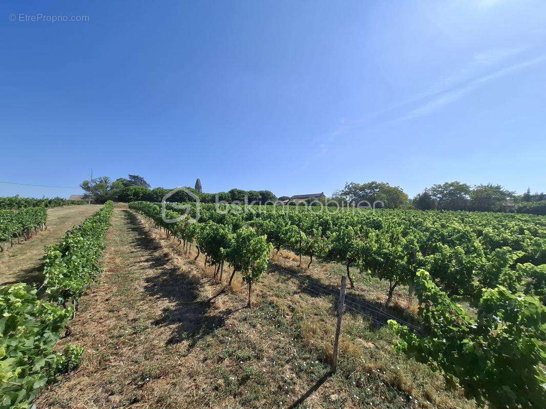 Terrain à bâtir de 2237 m² en seconde ligne - Mérignas (33350) - photo 2