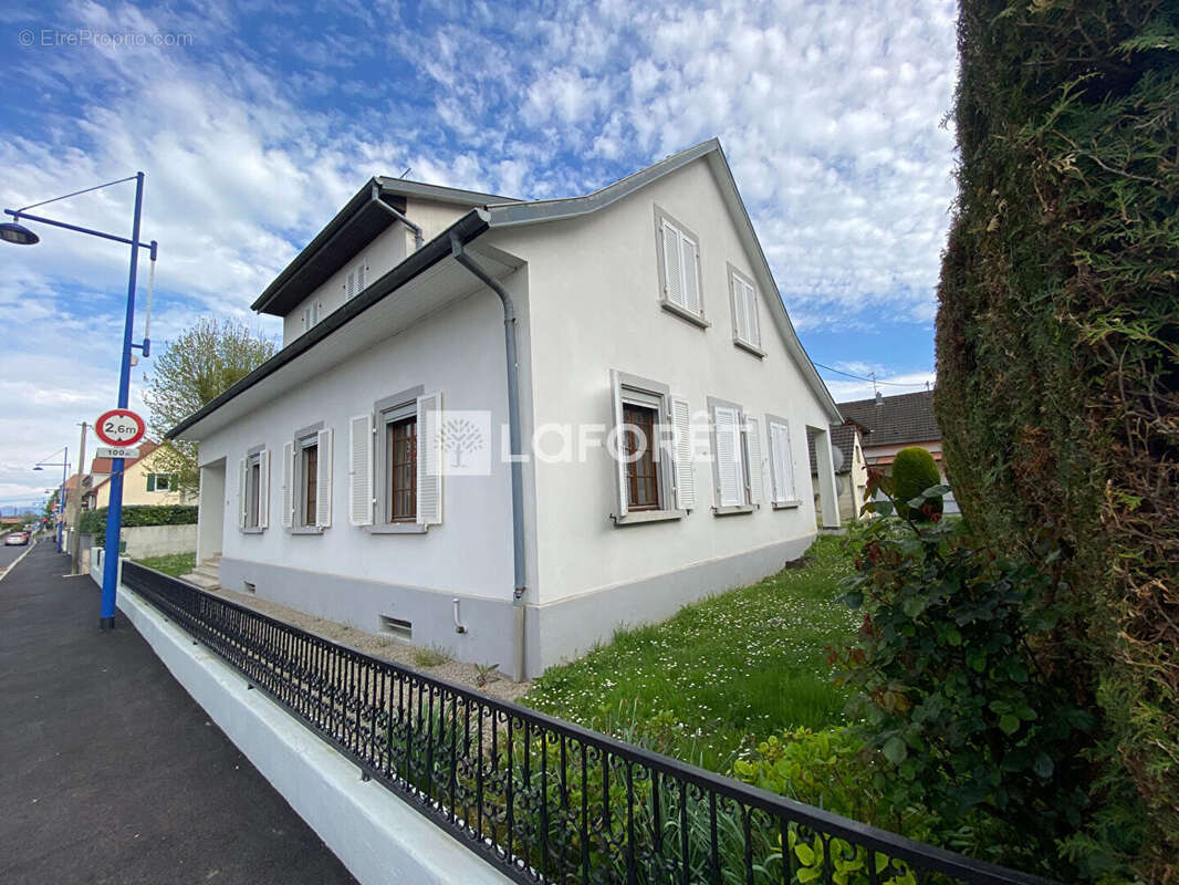 Maison Sierentz 7 pièce(s) 184m2 - photo 6