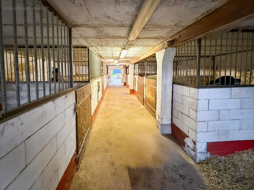 Maison à AZANNES-ET-SOUMAZANNES