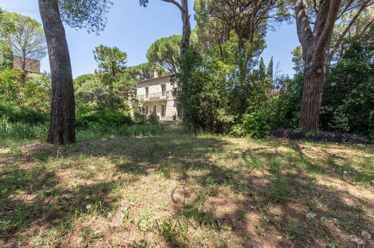 Maison familiale de plus de 270 m² avec parc arboré de 3 000 m² aux Arceaux à Montpellier - photo 6