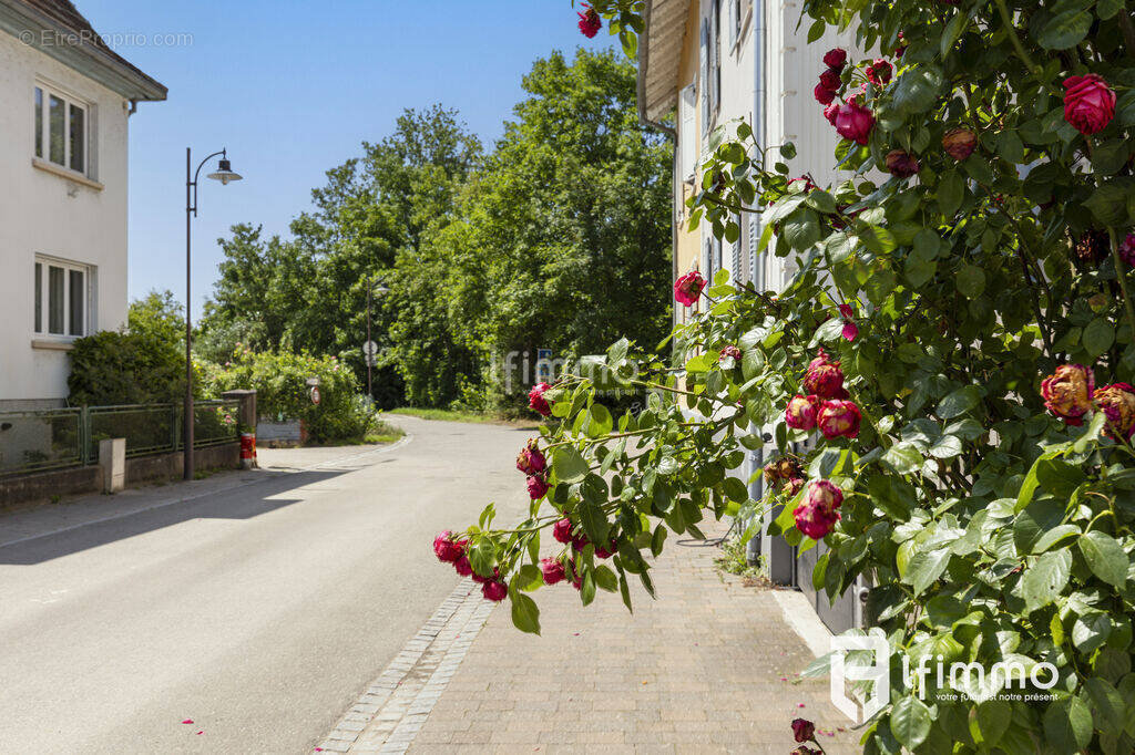 Maison à STRASBOURG