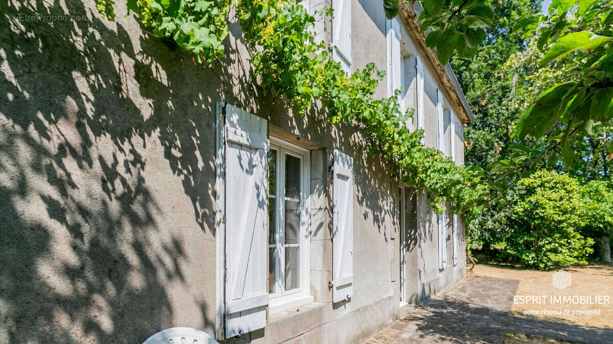 Riec Sur Belon : maison en pierre, 4 chambres, proche bourg, vie de plain pied - photo 2