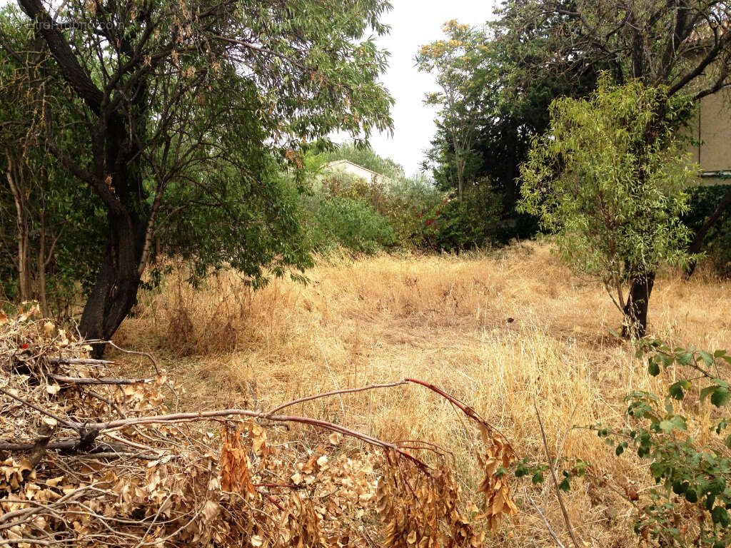 Terrain à SAINT-SATURNIN-LES-AVIGNON