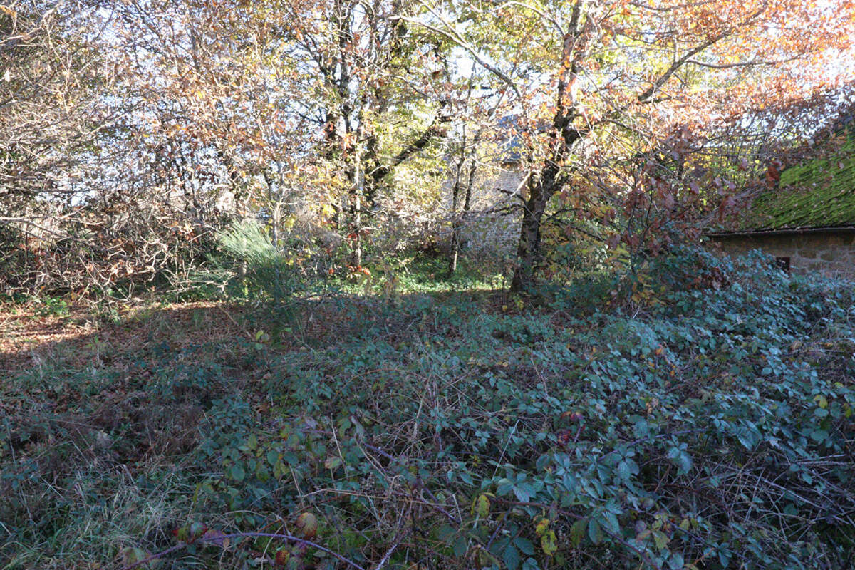 Autre à SAINT-AUGUSTIN