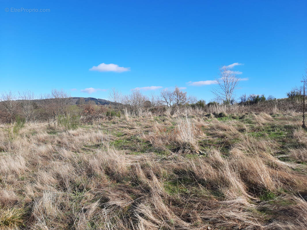 Terrain à THIERS