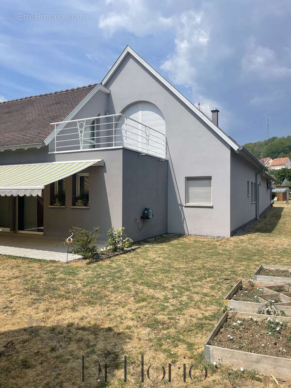 Nordheim - Maison d’architecte aux volumes remarquables 310m2 avec appartement indépendant - photo 45