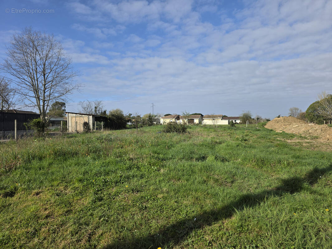 Terrain à LATRESNE