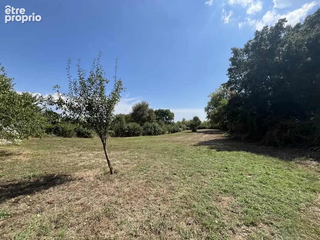 Maison 2 pièces avec grand terrain - photo 8