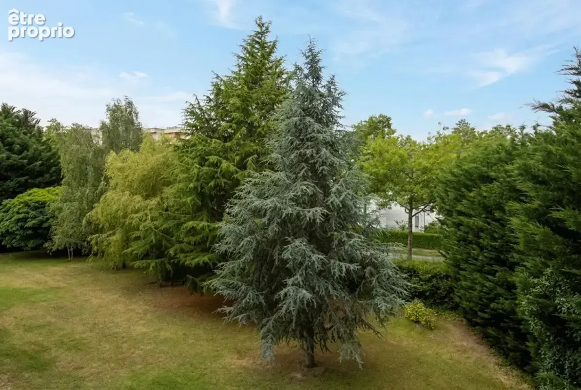 Appartement 4 pièces rénové avec terrasse et vue sur parc - cave - garage fermé - Quartier La Madeleine - photo 6