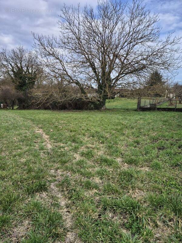 Terrain à LA COURONNE