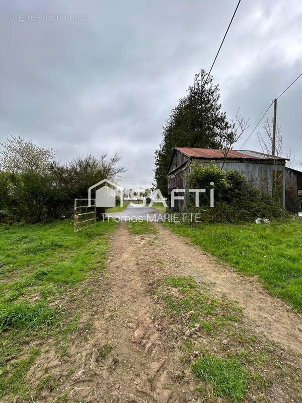 Photo 7 - Appartement à BESLON