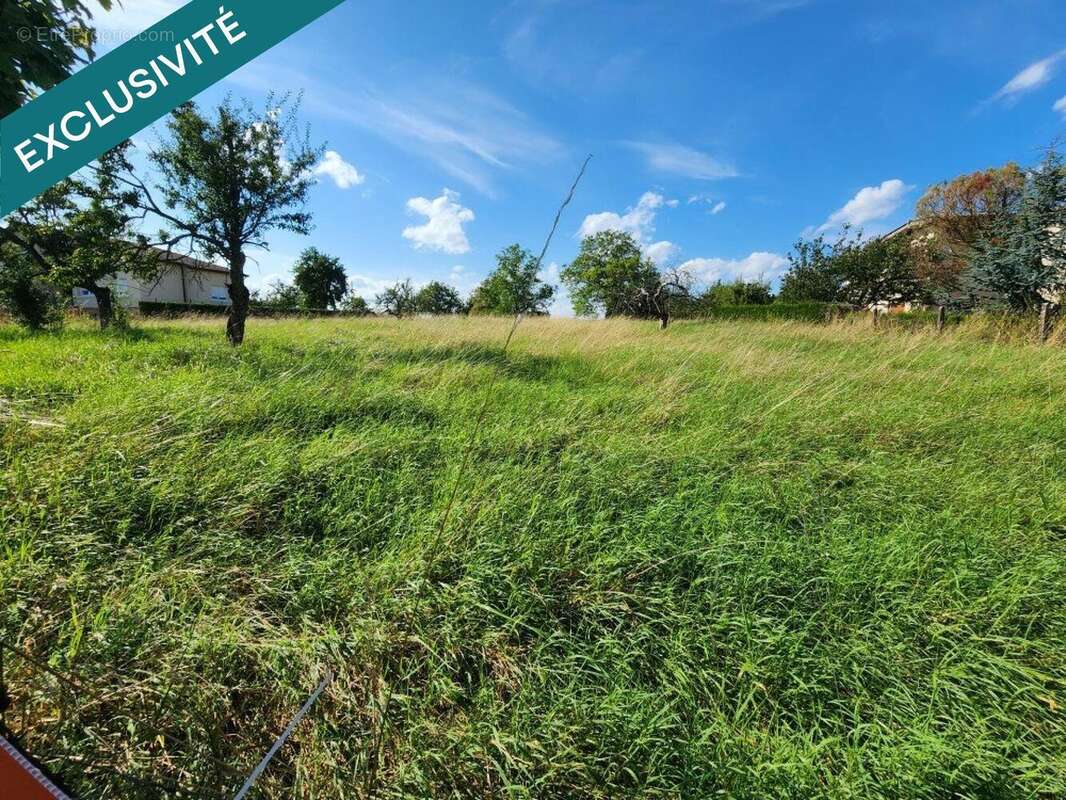 Photo 2 - Terrain à SAINT-GEORGES