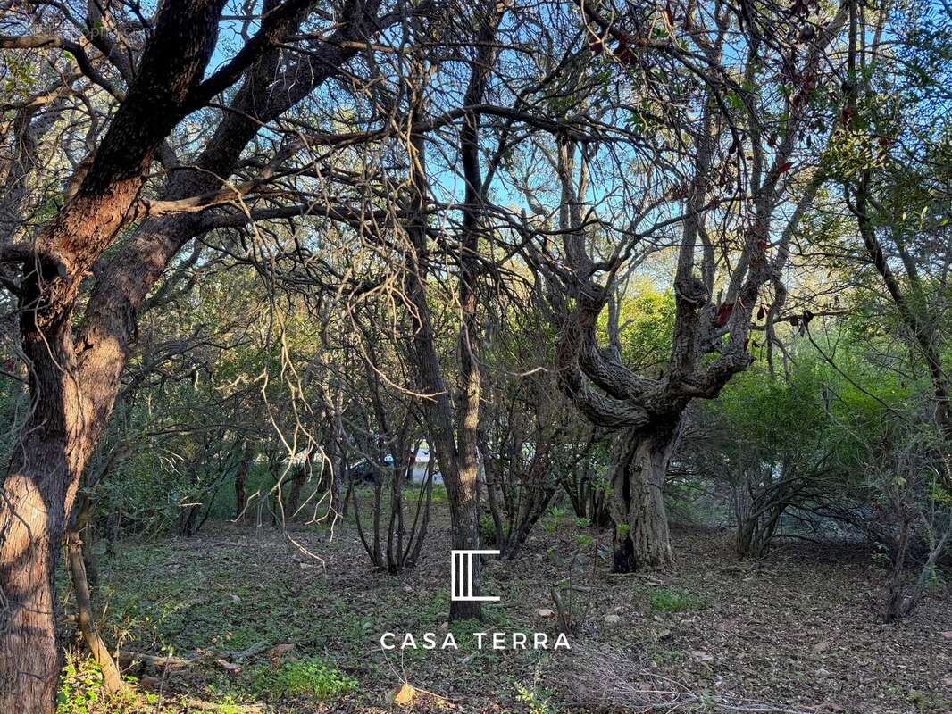 Terrain à PORTO-VECCHIO