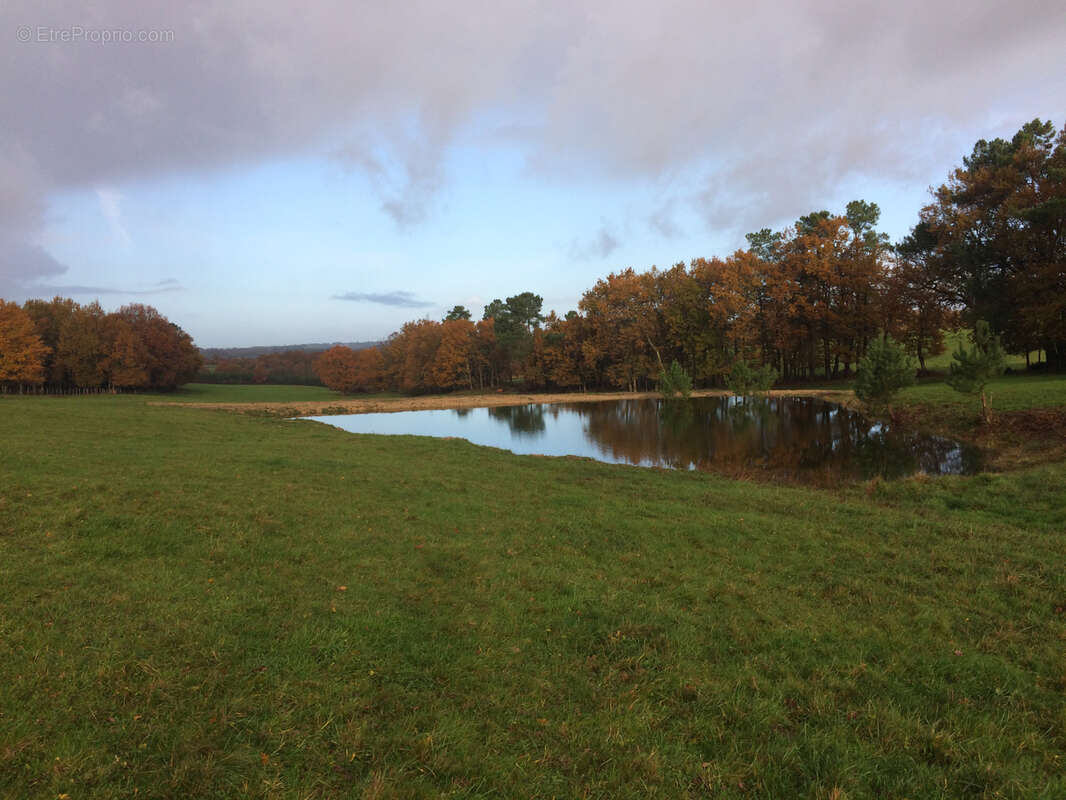 Grange avec ancienne maison sur plus de 7000m2 de terrain avec bois - photo 12