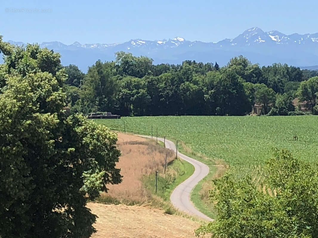 Maison avec vue pyrénéen avec dépendances aménagables, 2.8ha - photo 2