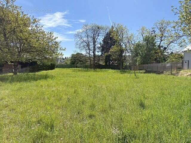 Terrain à MONTLOUIS-SUR-LOIRE