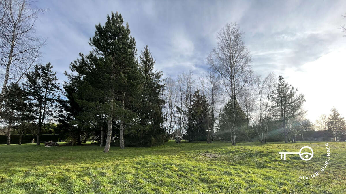 Terrain à MONTRIEUX-EN-SOLOGNE
