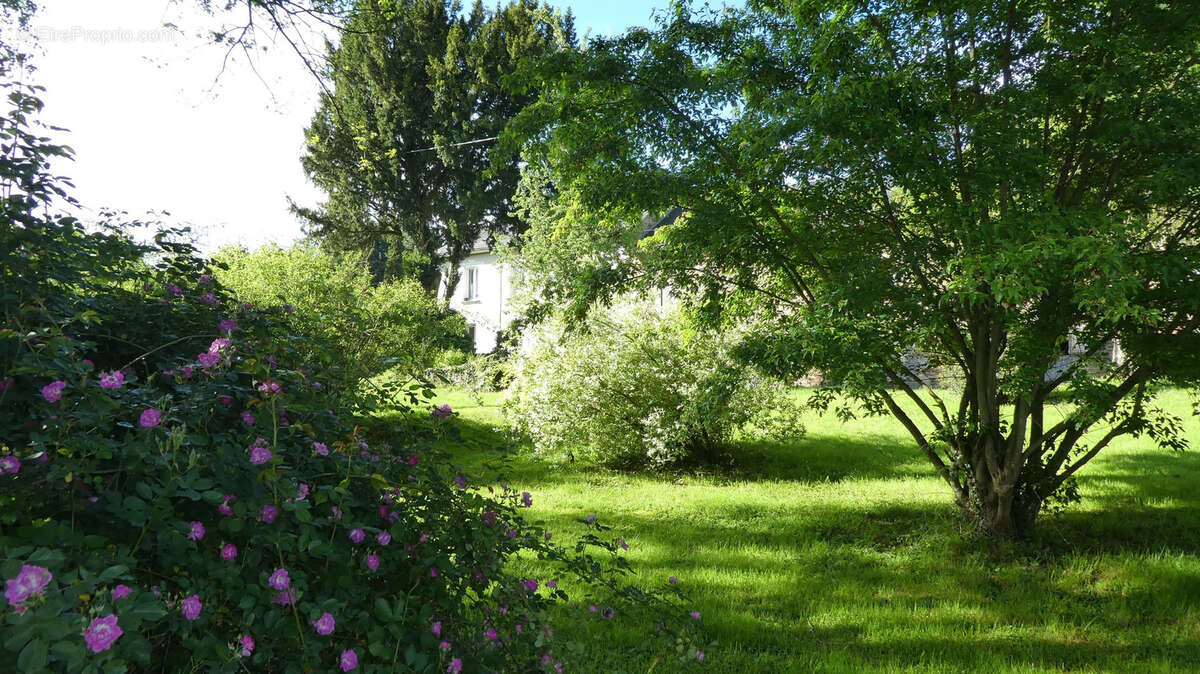 Maison à LA CROISILLE-SUR-BRIANCE