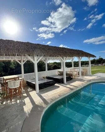 Maison à SAINT-MARTIN