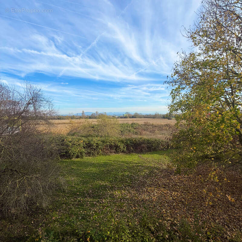 Appartement à BARTENHEIM