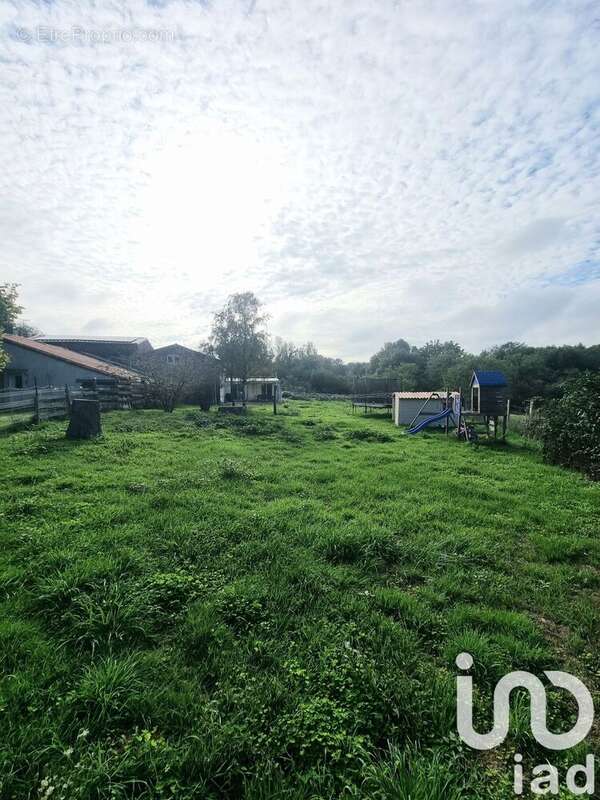 Photo 5 - Maison à CHANTONNAY