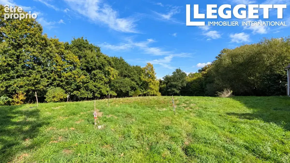Longère traditionnelle divisée en 3 logements – 157 m² habitables au total, terrain de 4 522 m² - photo 9