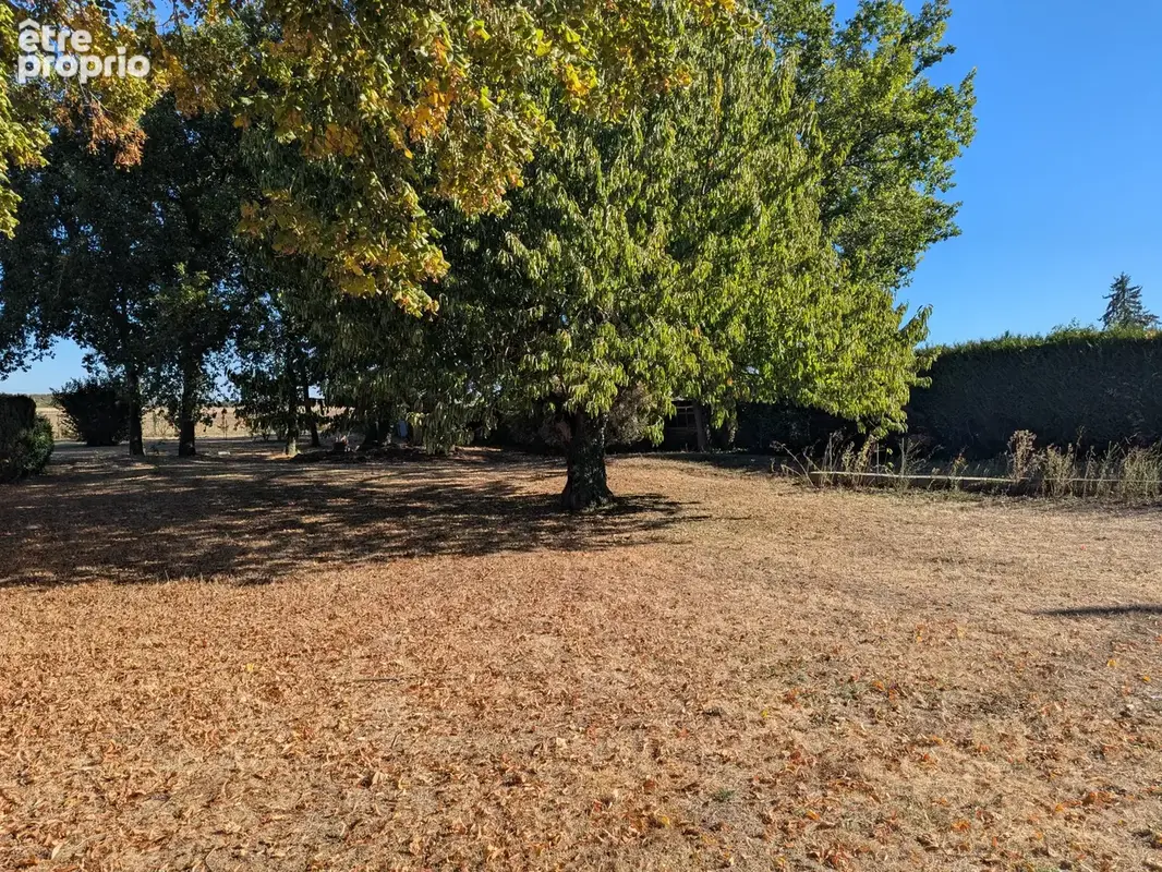 Pannes (45700)  : Maison en bon état sur grand terrain divisible - photo 19