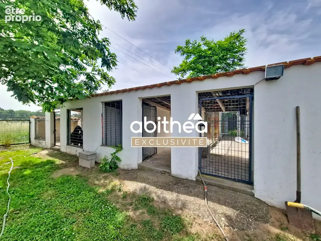 Rare  ideal artisan  350m2 de hangar  143m2 hab a rafraichir  6000m2 de terrain clos - photo 20