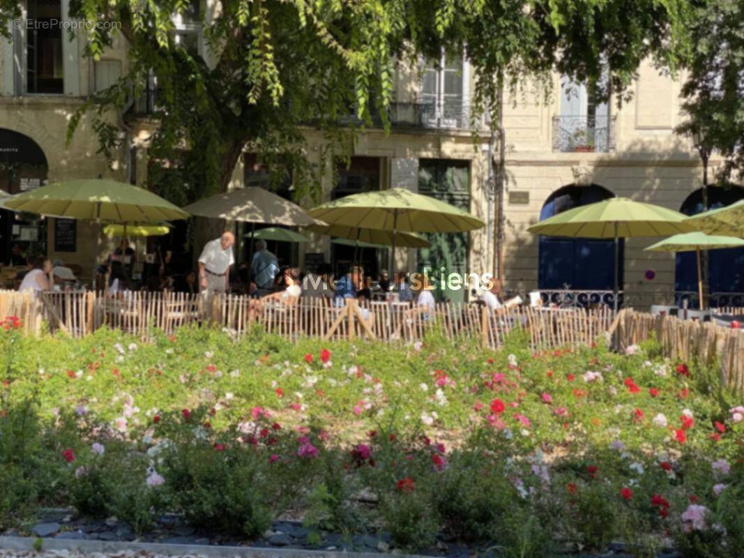 Commerce à MONTPELLIER