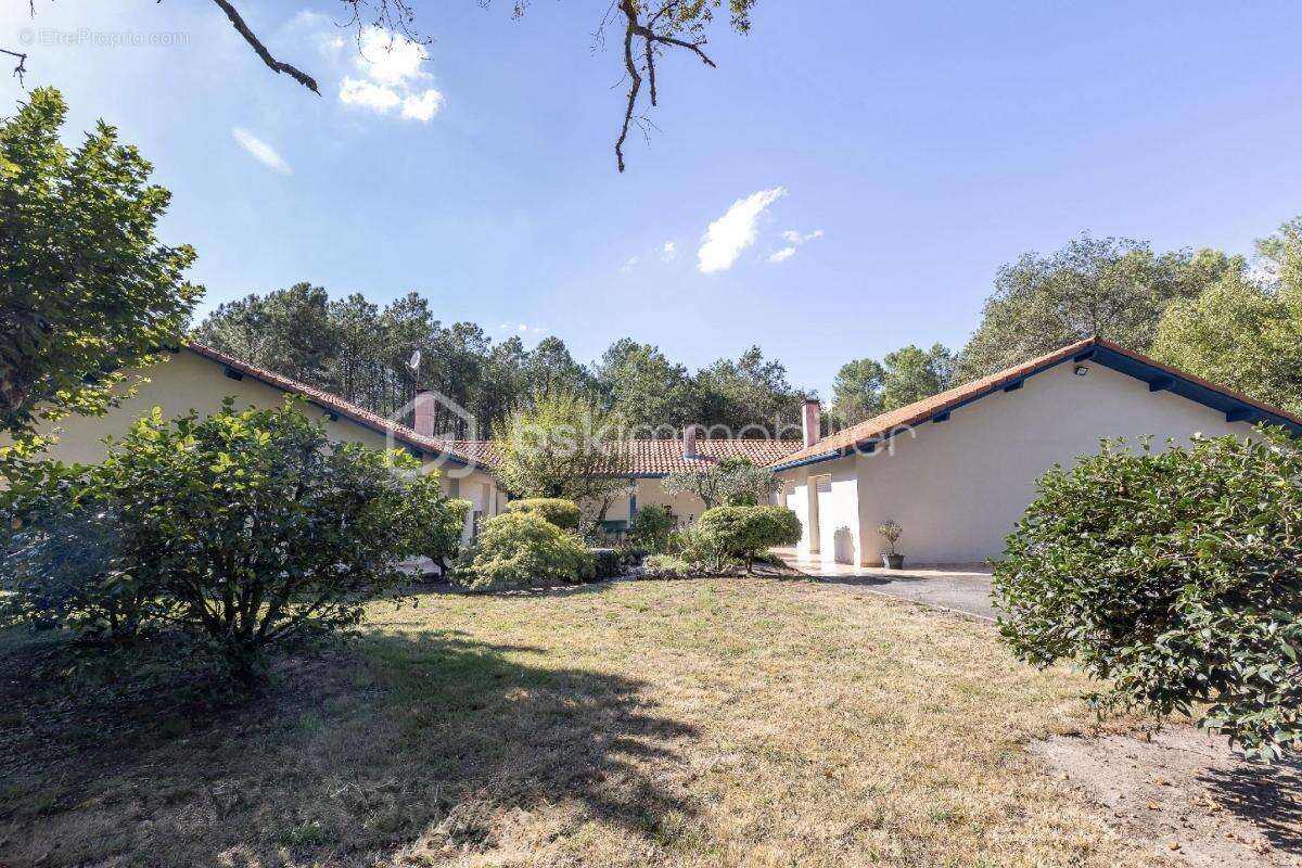 Propriété d'exception de 295 m² sur 39 294 m² – Herm (40990) - photo 12