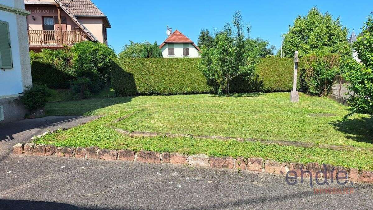 Maison de maître 7 pièces à rénover avec terrain de 982 m²  Pfetterhouse - photo 7