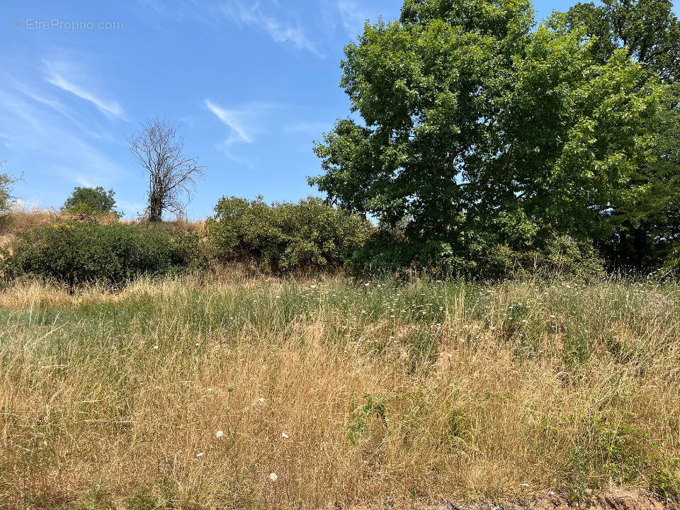 Terrain à ALBI