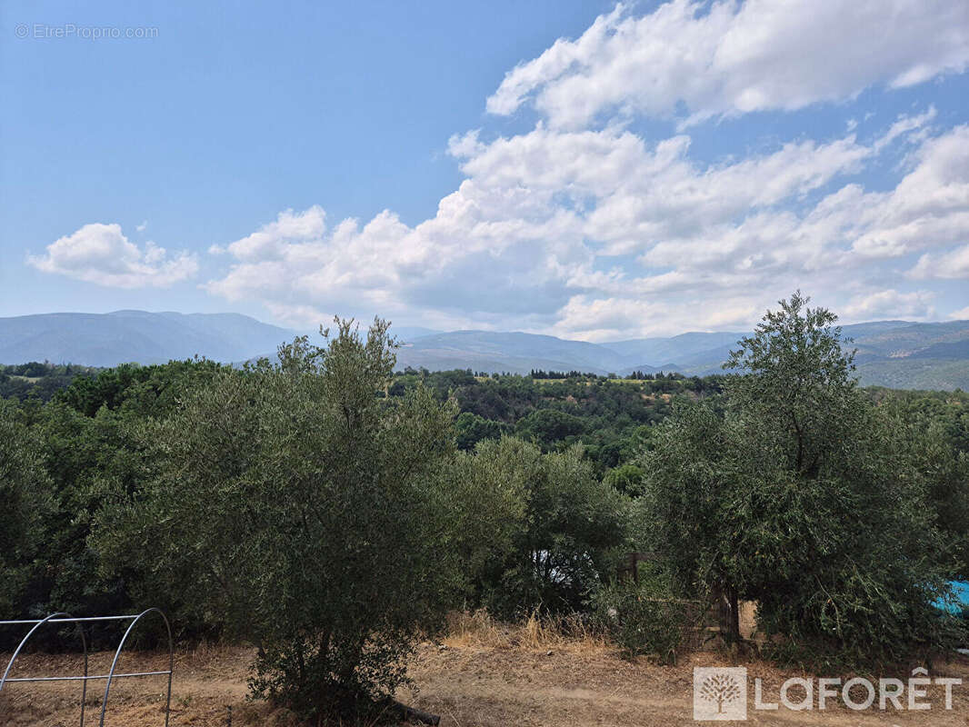 Maison Los Masos sur terrain de 4300m2 - photo 20