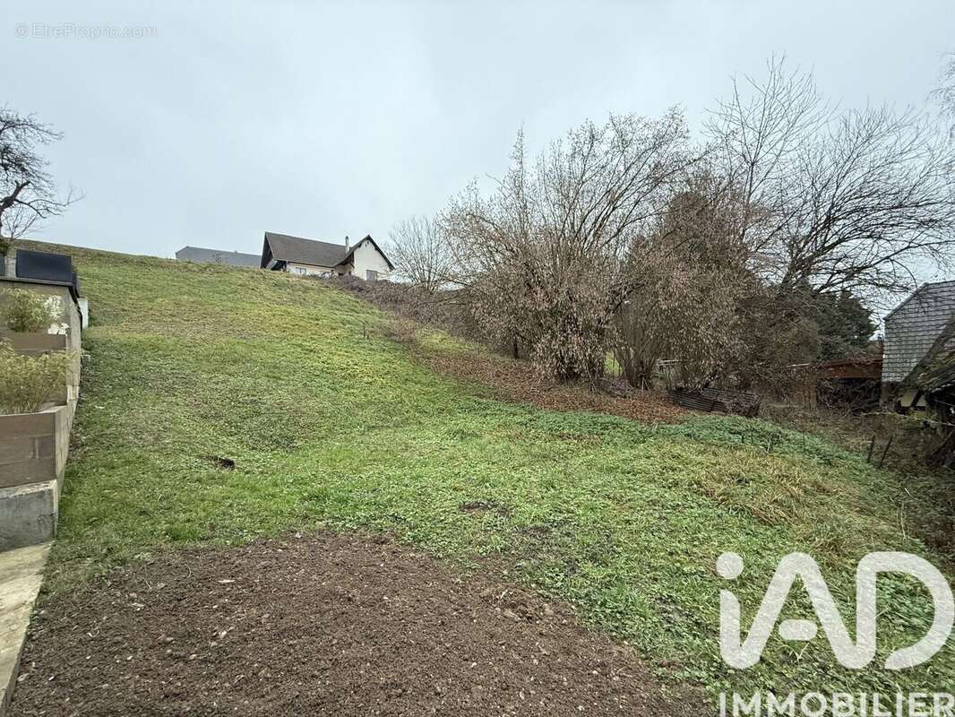 Photo 4 - Maison à UEBERSTRASS