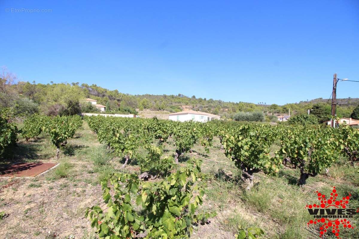 Terrain à MONTOULIERS