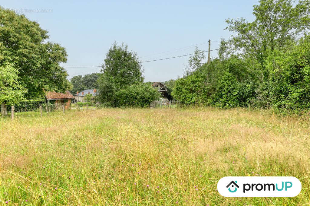 Terrain à ORADOUR-SUR-VAYRES