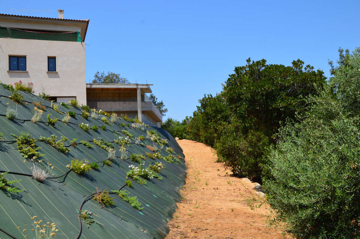 Maison à PIETROSELLA
