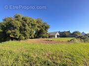 Terrain à POULDREUZIC